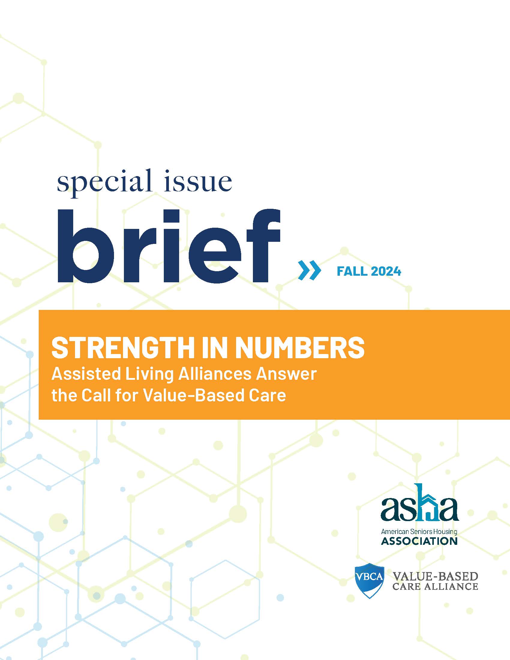 fall 2024 strength in numbers special issue brief cover